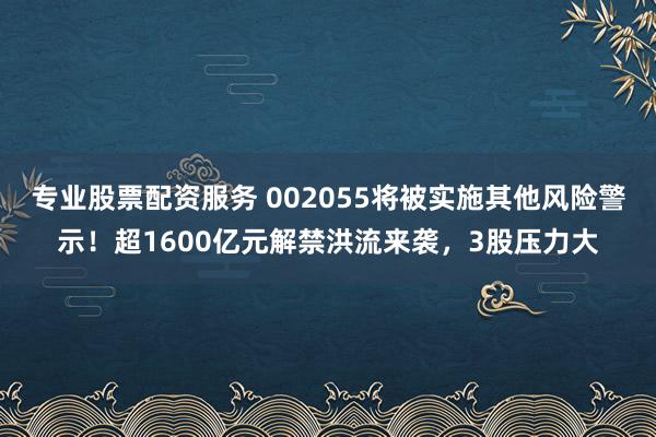 专业股票配资服务 002055将被实施其他风险警示！超1600亿元解禁洪流来袭，3股压力大